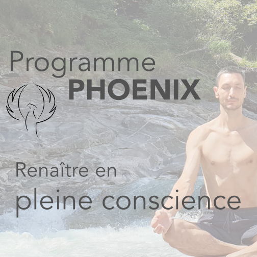 Programme Phoenix